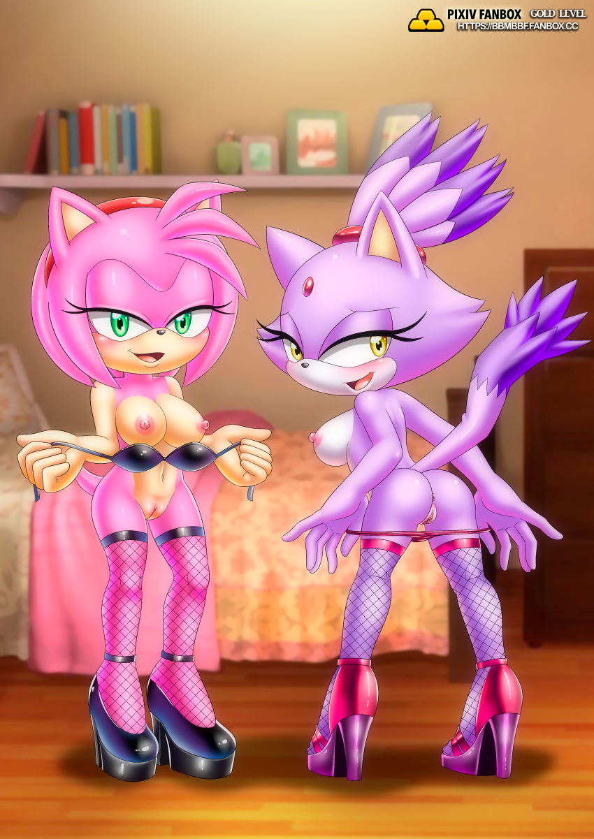 Furry Amy Rose Porn Unvirth - Hentai Busty â€“ amy rose anthro anus ass bbmbbf blaze the cat breasts cat  dat ass furry â€“ Hentai Busty