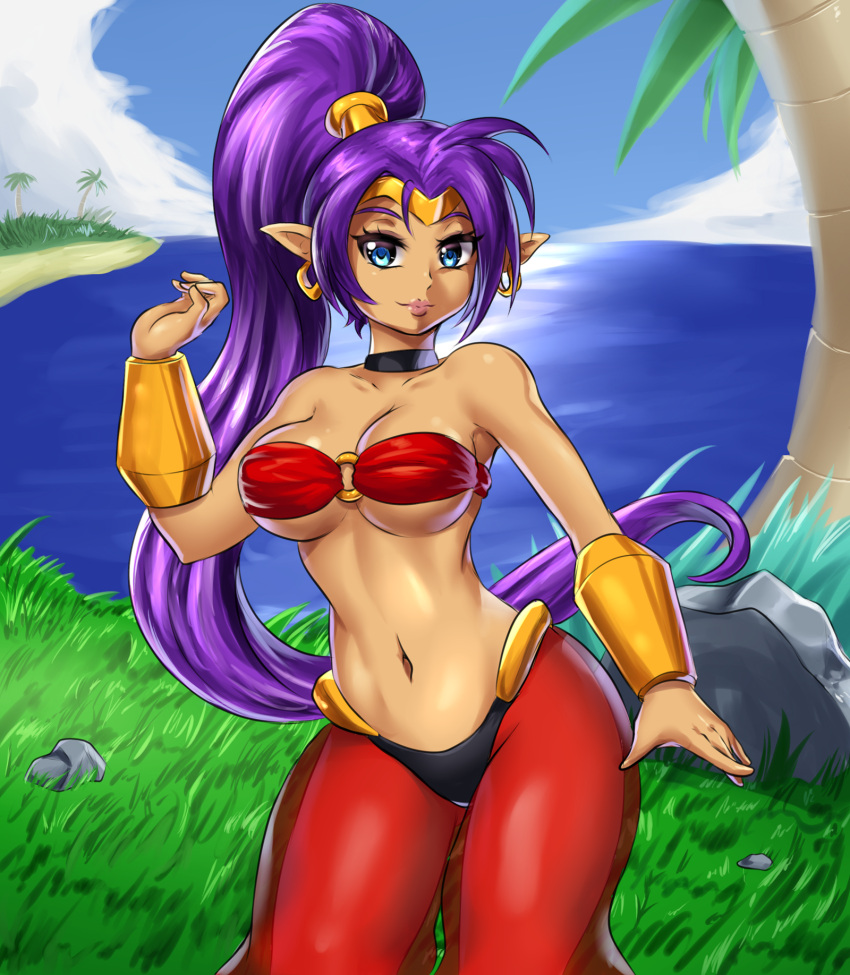 1girl arabian_clothes arabian_female arm_at_side bare_shoulders beach big_breasts black_choker blue_eyes bracer breasts choker cleavage closed_mouth cloud collarbone contrapposto dancing dark-skinned_female dark_skin day earrings female_only female_solo floating_hair gold_bracer gold_earrings gold_jewelry grass hand_up harem_outfit harem_pants high_ponytail hoop_earrings jewelry legs leonart lips lipstick long_hair looking_at_viewer makeup medium_breasts midriff navel neck ocean outside palm_tree pants pink_lipstick pointy_ears ponytail pose posing purple_hair red_pants revealing_clothes rock sand see-through see-through_clothes see-through_pants shantae shantae_(character) sky smile standing straight_hair strapless thighs tiara tied_hair tree under_boob very_long_hair water